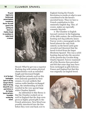 Clumber Spaniel (Comprehensive Owner's Guide),Used