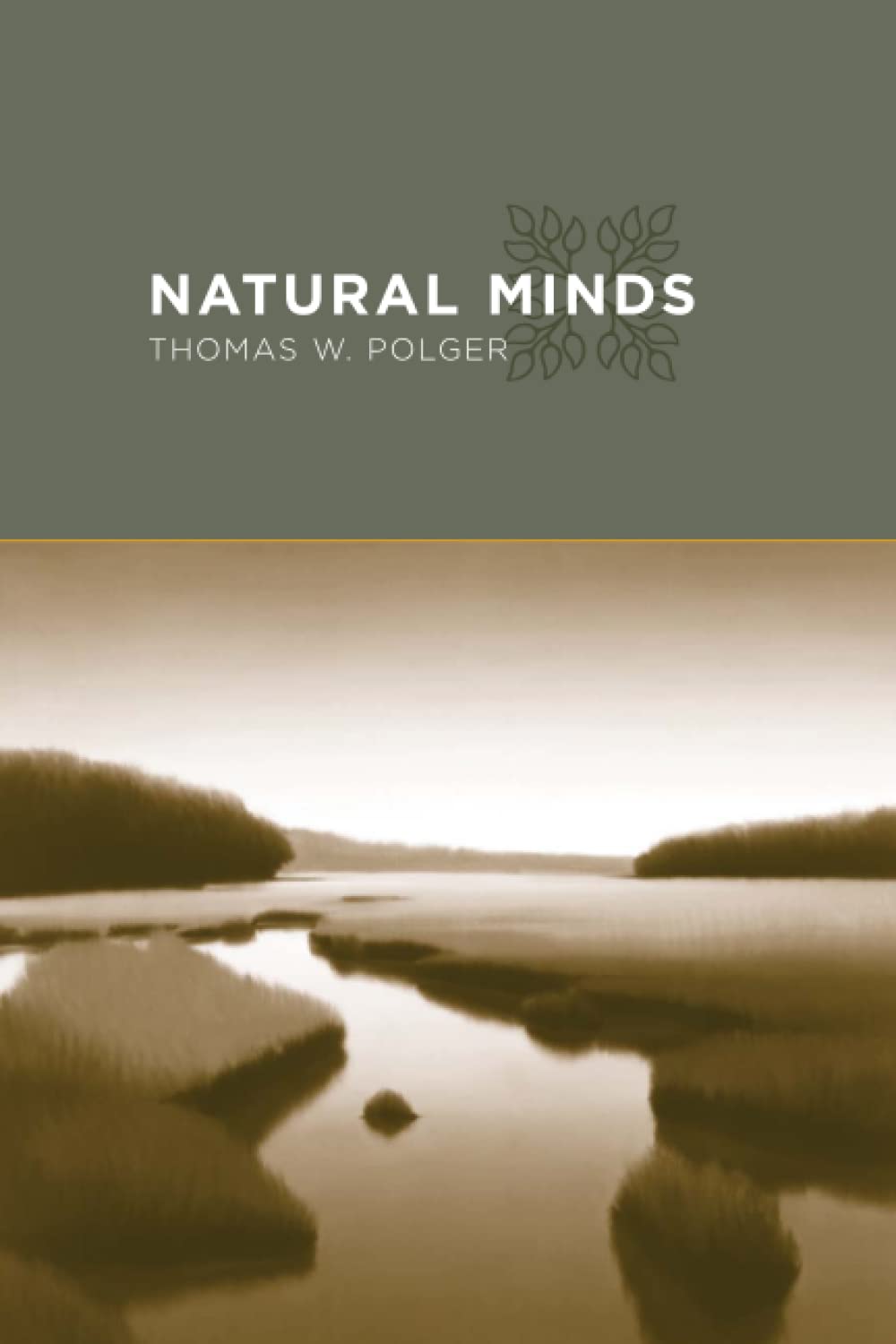 Natural Minds (A Bradford Book)