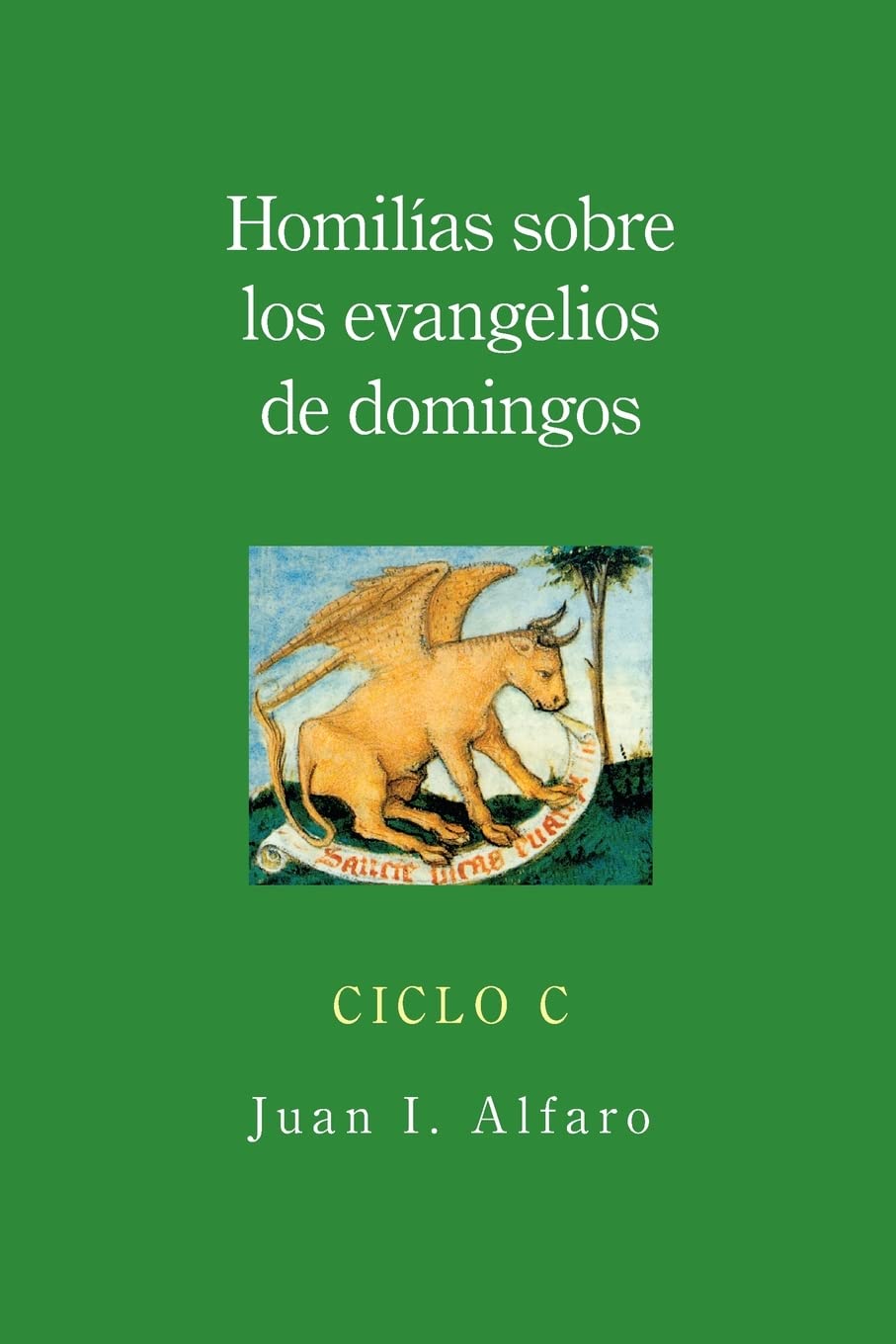 Homilias sobre los evangelios de domingos: Ciclo C (Spanish Edition),Used