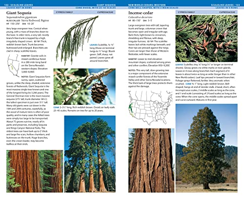 National Wildlife Federation Field Guide to Trees of North America,Used
