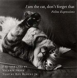 I Am the Cat, Don't Forget That: Feline Expressions,Used