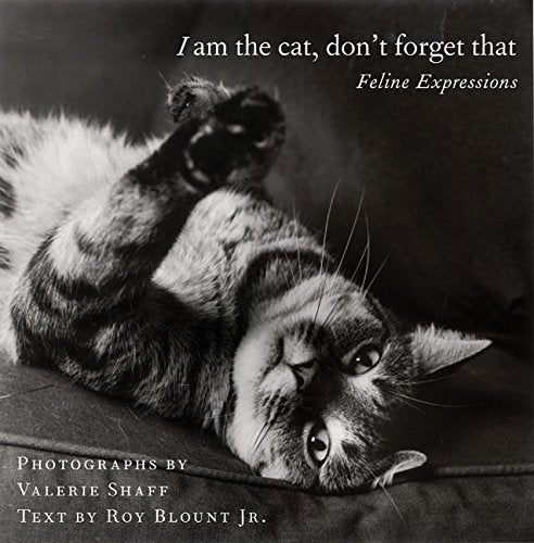 I Am the Cat, Don't Forget That: Feline Expressions,Used
