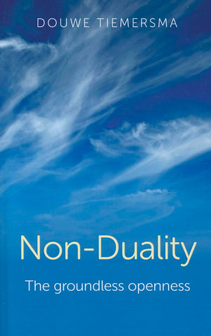 NonDuality: The Groundless Openness,Used
