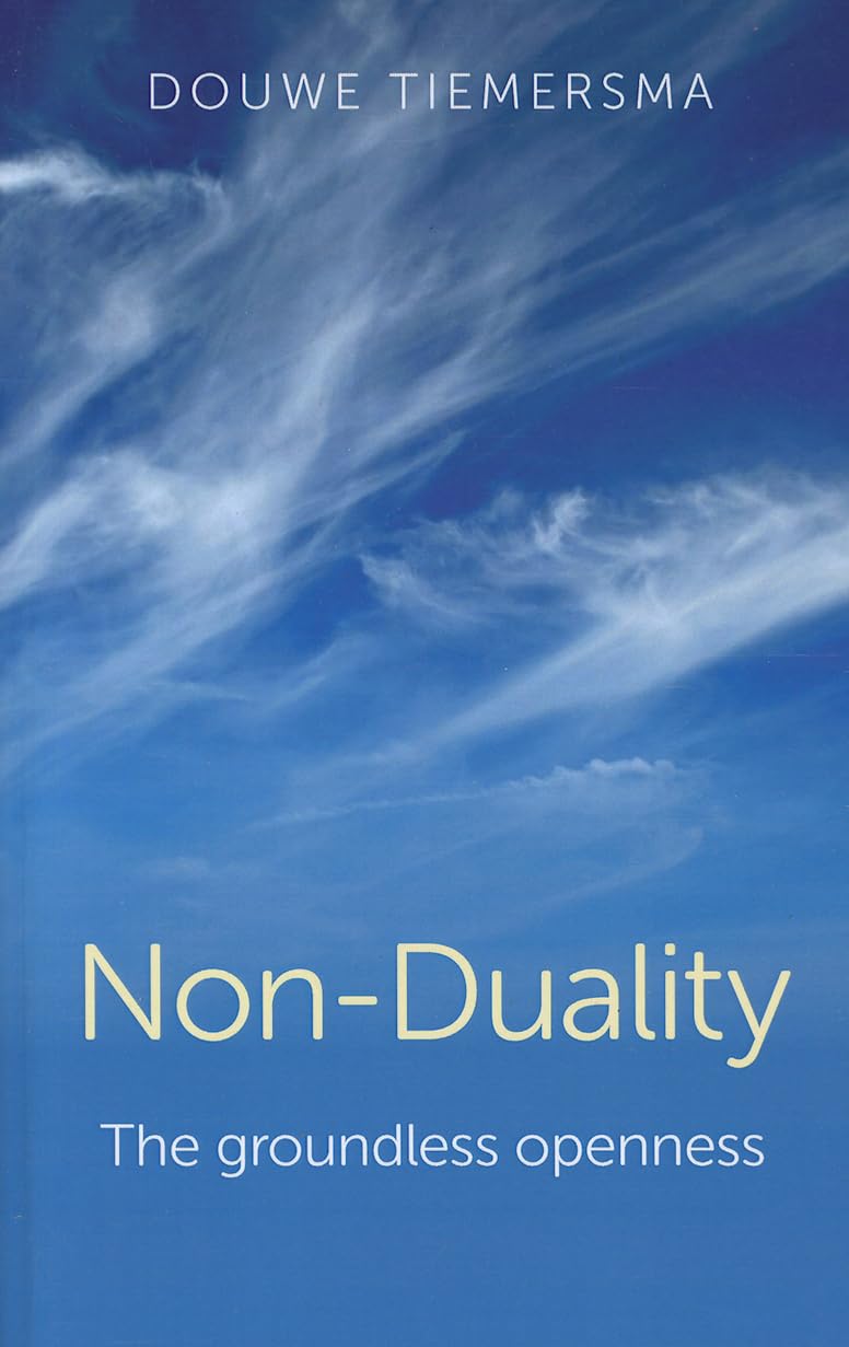 NonDuality: The Groundless Openness,Used