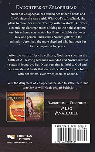 Heavenly Lights: Noah's Journey (5) (Tribes of Israel),Used