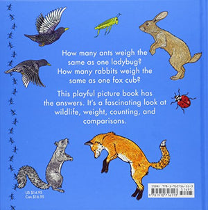 How Much Does A Ladybug Weigh? (Wild Facts & Amazing Math)