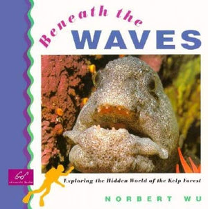 Beneath The Waves: Exploring The Hidden World Of The Kelp Forest