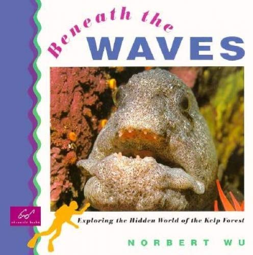 Beneath The Waves: Exploring The Hidden World Of The Kelp Forest