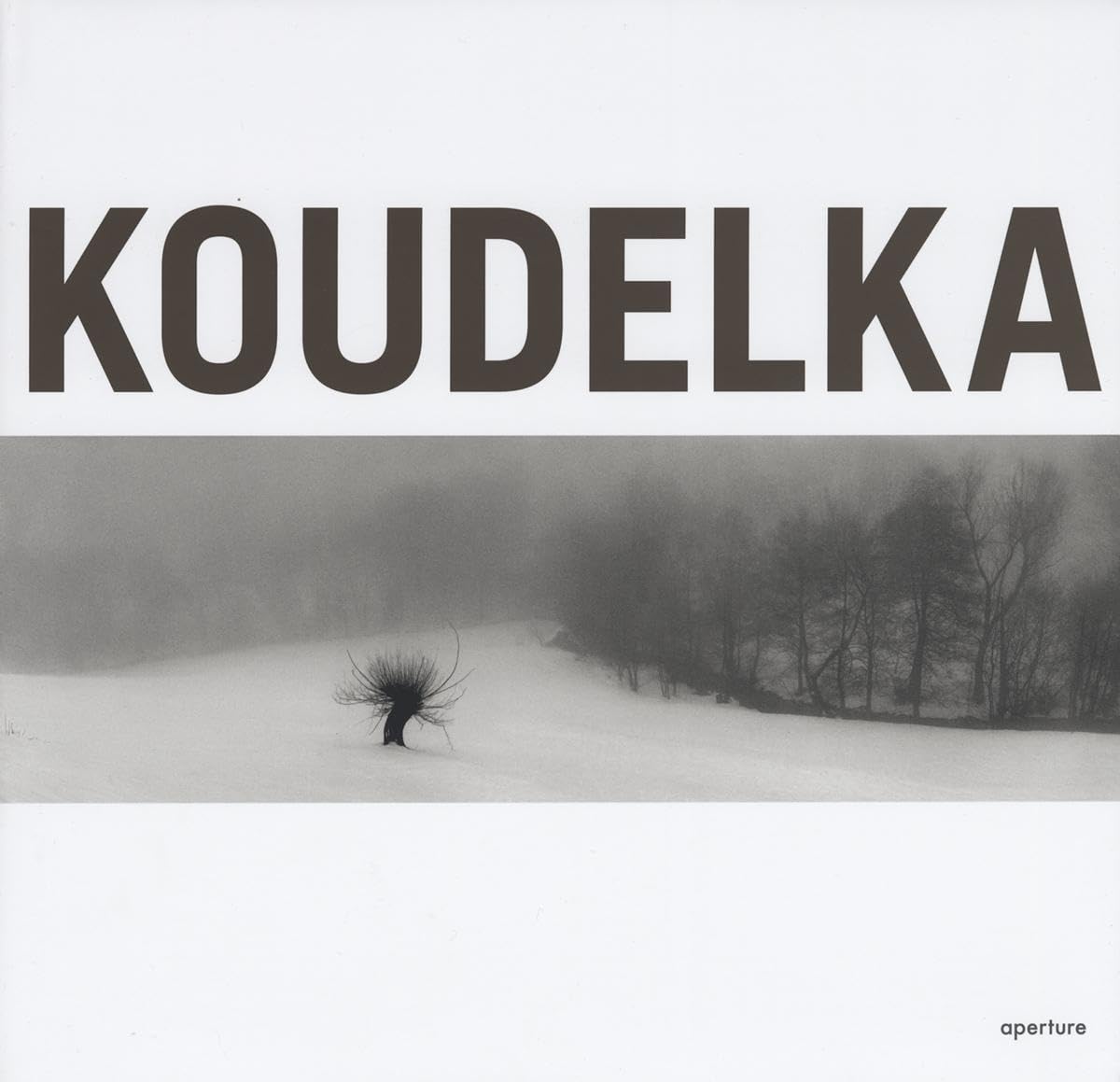 Josef Koudelka: Koudelka,Used