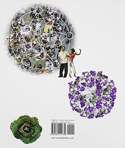 Exploring Psychology in Modules (Paper),Used