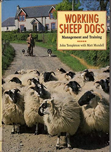 Working Sheepdogs: Management And Training-new