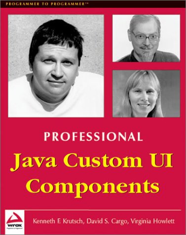 Professional Java Custom UI Components,Used