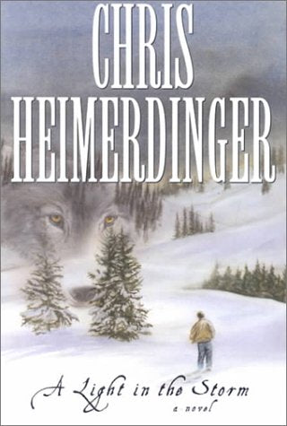 A Light in the Storm: A Novel,Used