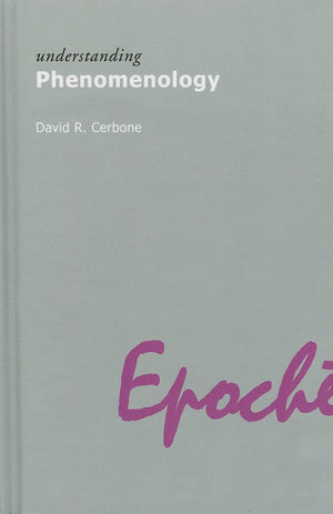 Understanding Phenomenology,Used