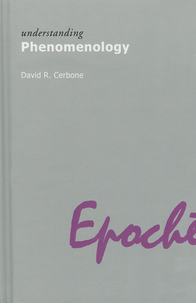 Understanding Phenomenology,Used