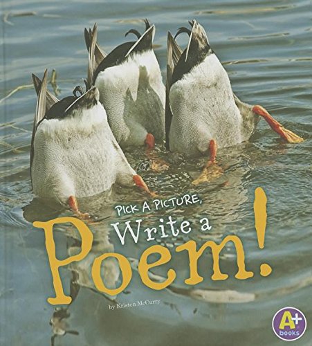Pick a Picture, Write a Poem! (Little Scribe),Used