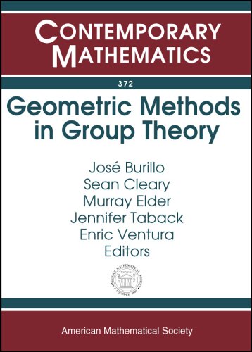 Geometric Methods In Group Theory: Ams Special Session Geometric Group Theory, October 56, 2002, Northeastern University, Bosto,Used