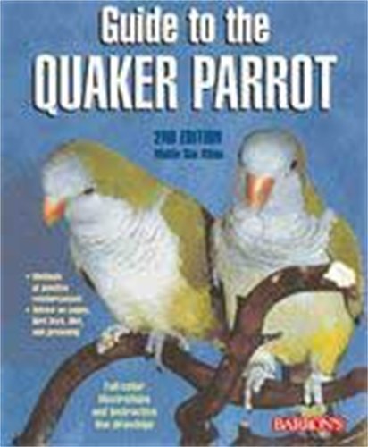 Guide To The Quaker Parrot