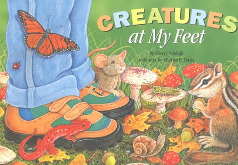 Creatures at My Feet,Used