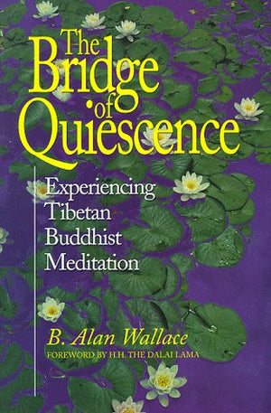 Bridge Of Quiescence: Experiencing Tibetan Buddhist Meditation,Used
