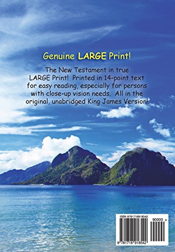 Large Print New Testament, 14Point Text, Tropical Paradise, KJV: TwoColumn Format,Used