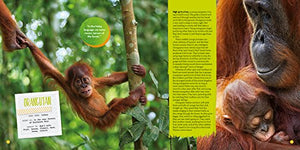 Hey, Baby!: A Collection Of Pictures, Poems, And Stories From Nature'S Nursery (National Geographic Kids)