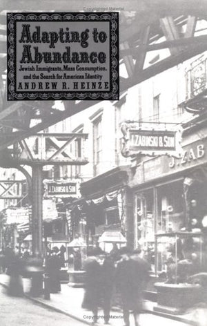 Adapting to Abundance: Jewish Immigrants, Mass Consumption, and the Search for American Identity (Columbia History of Urban Life,Used