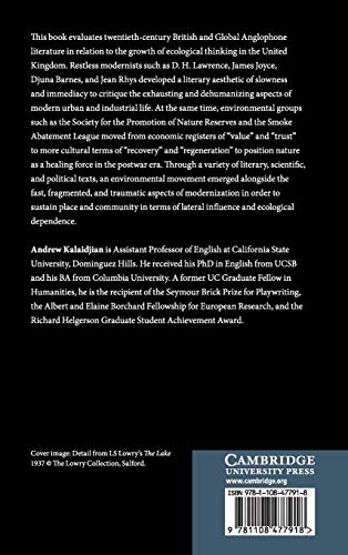 Exhausted Ecologies: Modernism and Environmental Recovery,Used