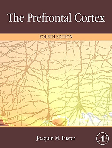 The Prefrontal Cortex,Used
