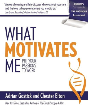 What Motivates Me: Put Your Passions To Work-used