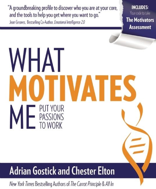 What Motivates Me: Put Your Passions To Work-used