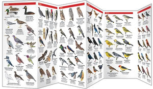 Yosemite Wildlife: A Folding Pocket Guide to Familiar Animals in the Yosemite Area (Wildlife and Nature Identification),Used