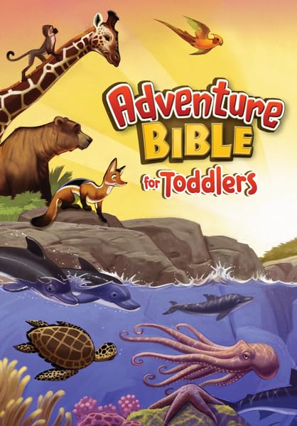 Adventure Bible for Toddlers,Used