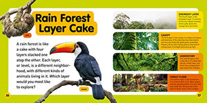 Explore My World Rain Forests,Used