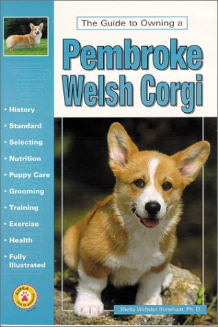 The Guide to Owning a Pembroke Welsh Corgi,Used