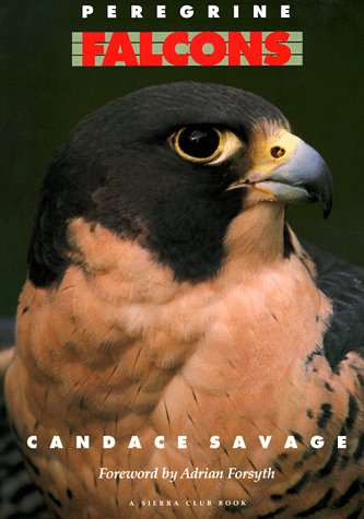 Peregrine Falcons,Used