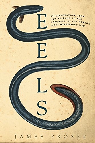Eels: An Exploration, From New Zealand To The Sargasso, Of The World'S Most Mysterious Fish