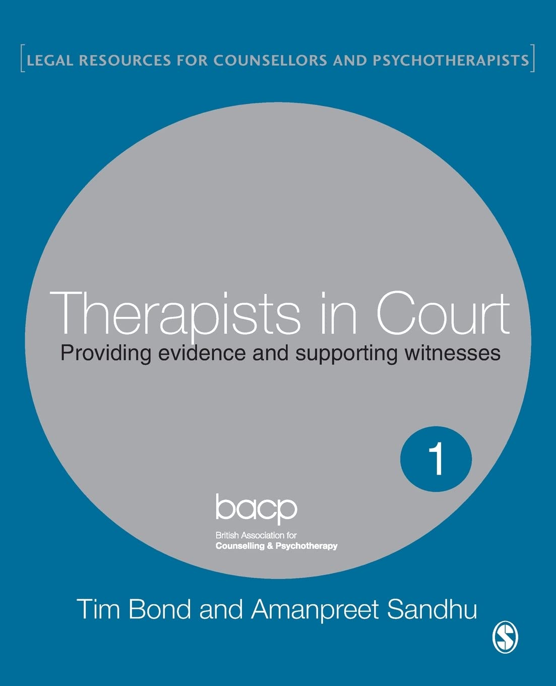 Therapists in Court: Providing Evidence and Supporting Witnesses (Legal Resources Counsellors & Psychotherapists),Used