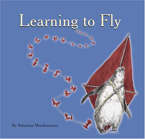 Learning to Fly,Used