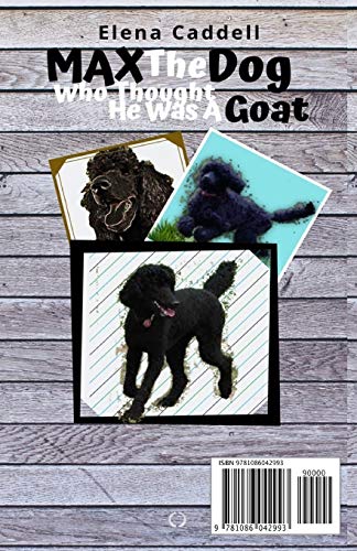 MAX The Dog Who Thought He Was A GOAT!,Used