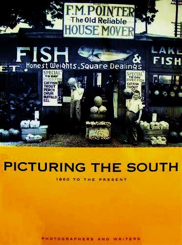 Picturing The South: 1860 To The Present,New