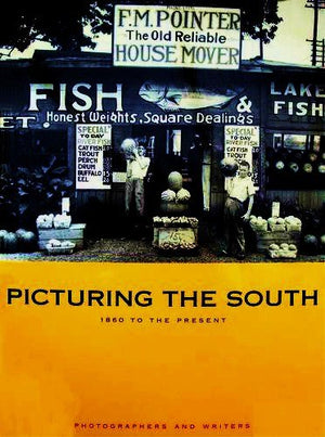 Picturing The South: 1860 To The Present-used