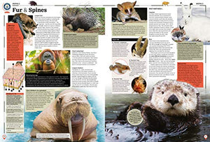 Guinness World Records 2021,New