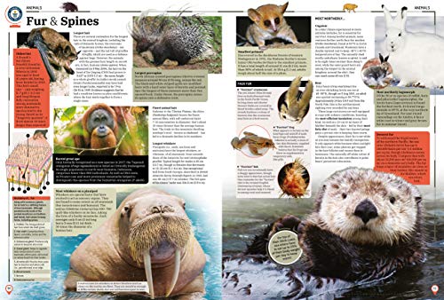 Guinness World Records 2021,New