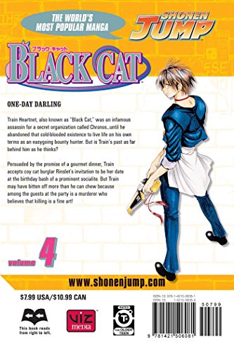 Black Cat, Vol. 4,Used