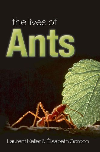 The Lives of Ants,Used