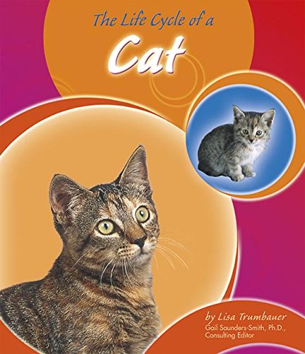The Life Cycle Of A Cat (Life Cycles)