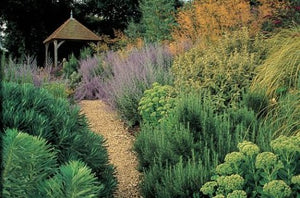 Book of Garden Plans,Used