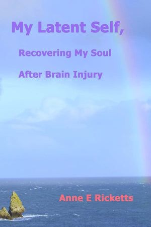 My Latent Self, Recovering My Soul After Brain Injury: A View From The Inside Of Brain Injury,Used