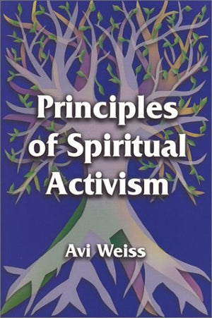Principles of Spiritual Activism,Used